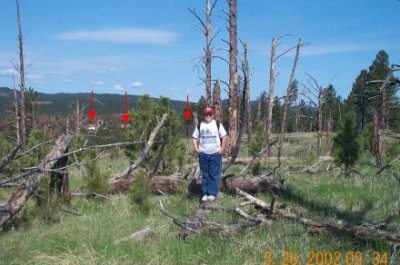 Westberry Trails Fire area
