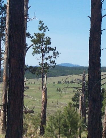 Harney Peak, the highest point between the Rocky Mountains and the Swiss Alps.
