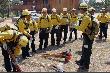 USFS003t