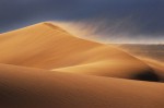 Largest desert